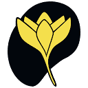 Flavus
